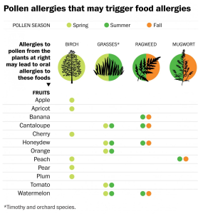 pollen cross reactivity chart