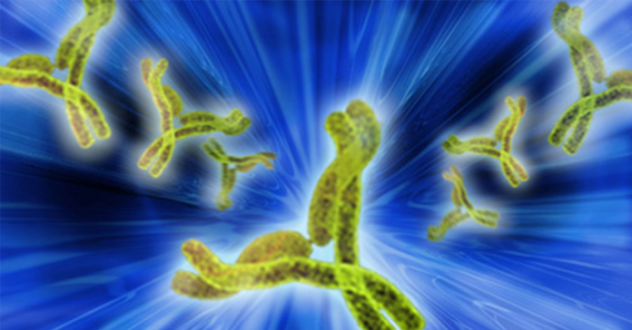 Monoclonal Antibodies