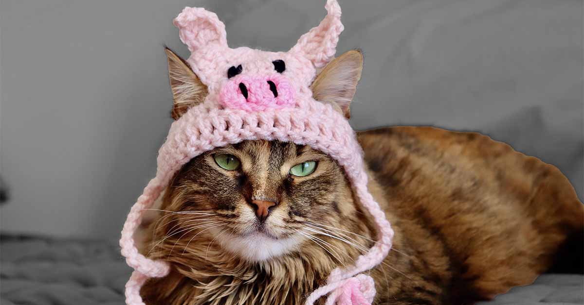 Move Over AlphaGal… PorkCat Syndrome is Another Food Allergy You Can